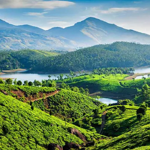 plan your trip to Munnar by our taxi